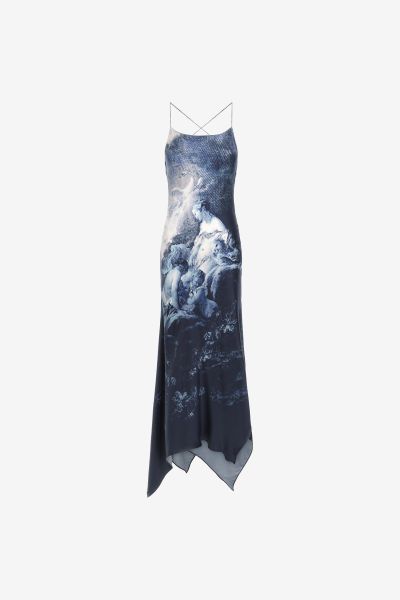 Roberto Cavalli Denim Women Dresses Slip Dress With Denim Wild Leda Print