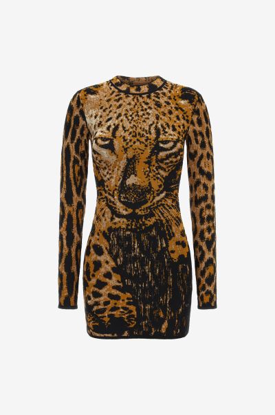 Jaguar Print Knit Dress Dresses Rust Roberto Cavalli Women