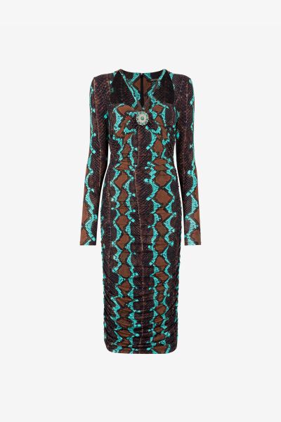 Women Dresses Roberto Cavalli Blue/Brown/Ice Snakeskin-Print Midi Dress