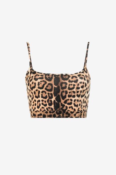 Blouses & Tops Roberto Cavalli Women Naturale Leopard-Print Cropped Top