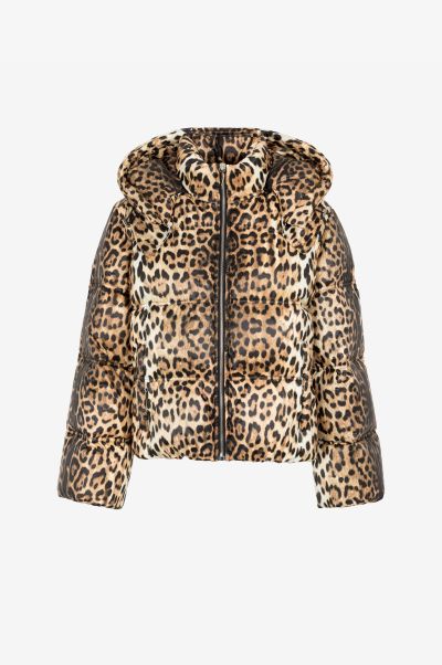 Women Roberto Cavalli Jaguar-Print Padded Jacket Naturale Coats & Jackets