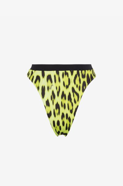 Roberto Cavalli Women Leopard-Print Bikini Bottoms Lime Beachwear