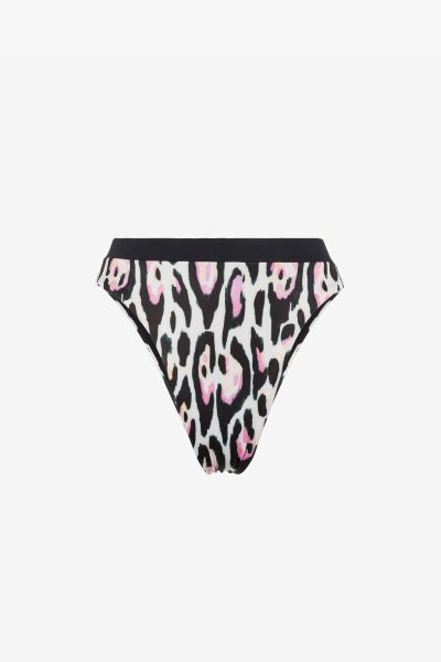 Women Beachwear Roberto Cavalli Jaguar-Print Bikini Bottoms Rosa