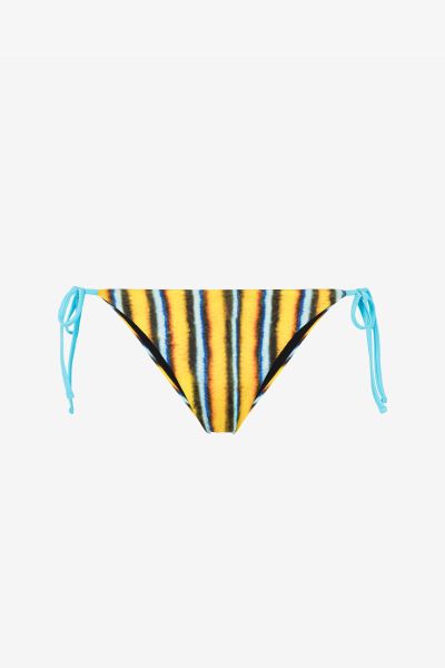 Roberto Cavalli Beachwear Stripe-Print Bikini Bottoms Women Multicolor