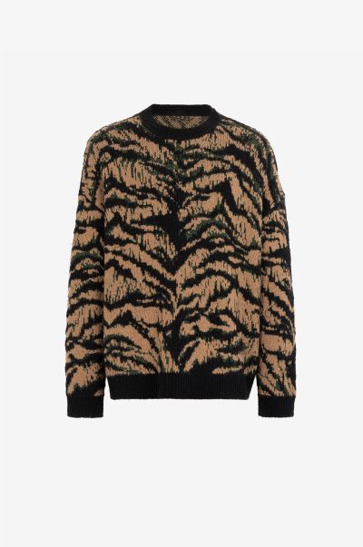 Knitwear Men Freedom-Jacquard Sweater Multicolor Roberto Cavalli