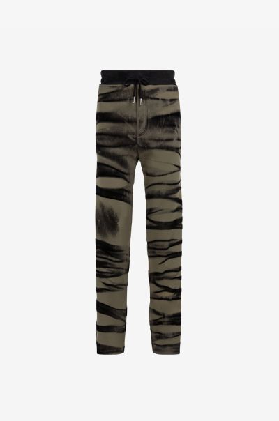 Men Green/Black Pants & Shorts Roberto Cavalli Zebra-Print Track Pants