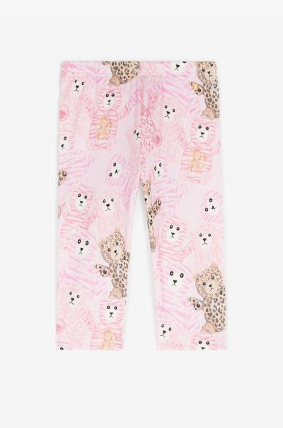Baby_Pink Baby Girls (1M-3Y) Teddy Bear-Print Cotton Leggings Ready To Wear Roberto Cavalli