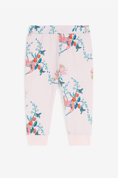 Roberto Cavalli Baby_Pink Ready To Wear Baby Girls (1M-3Y) Logo And Floral-Print Cotton Track Pants