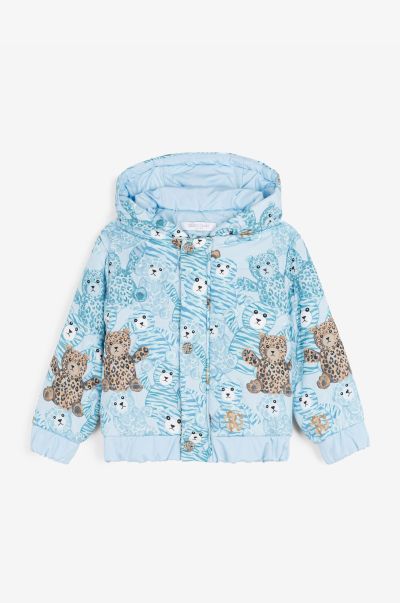 Roberto Cavalli Ready To Wear Teddy Bear-Print Padded Coat Baby_Blue Baby Boys (1M-3Y)